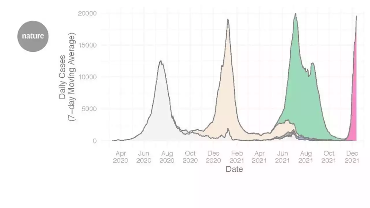 Rapid epidemic expansion of the SARS-CoV-2 Omicron variant in southern Africa