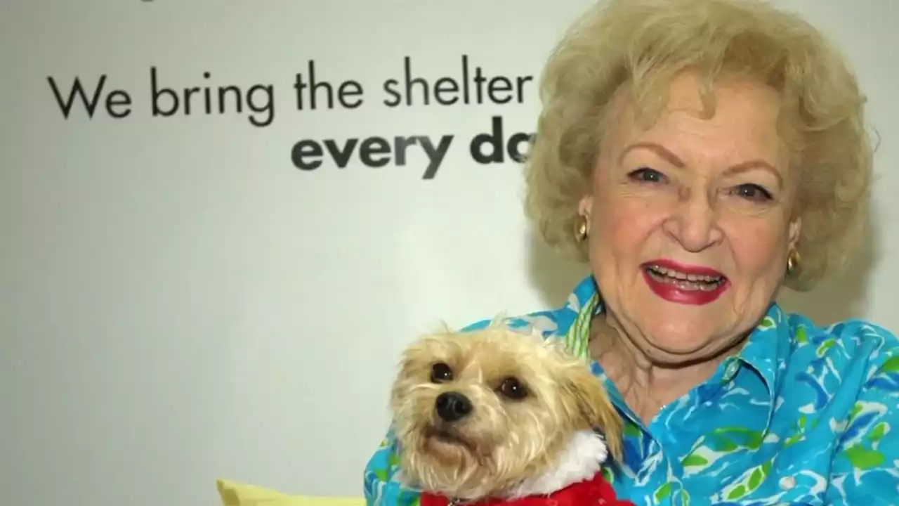 ‘Betty White Challenge' Raises Money for Animal Shelters and Sanctuaries