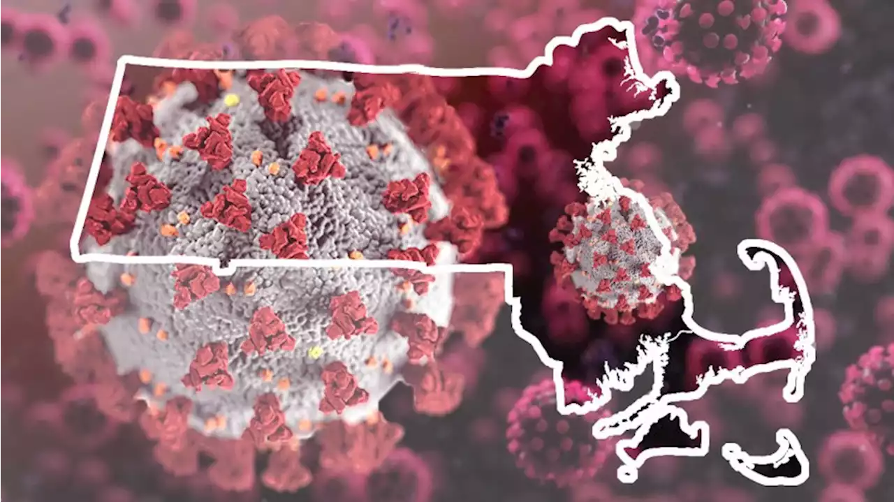 82,466 New Breakthrough Cases in Mass., Nearly Doubling Week Over Week