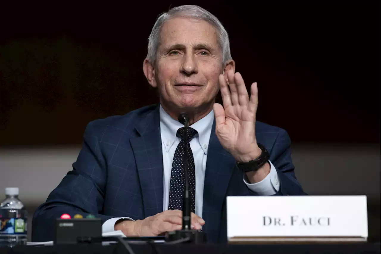 What Dr. Fauci's financial disclosures reveal