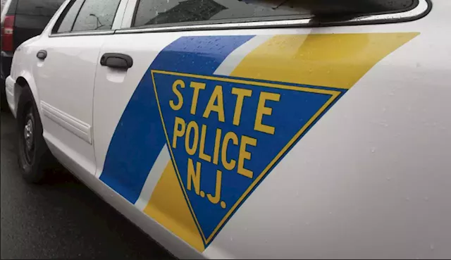 Driver pulled over on Route 80 found with 127 pounds of pot, State Police say