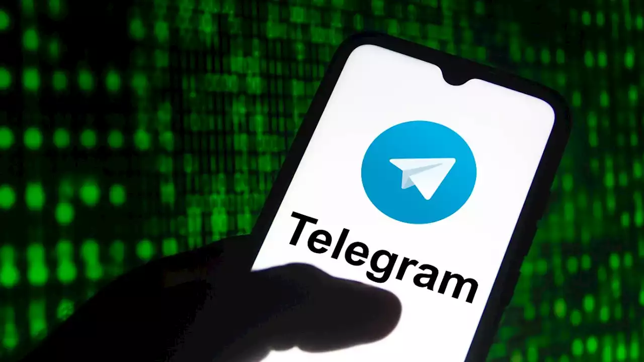 Innenministerin droht Telegram mit Abschaltung