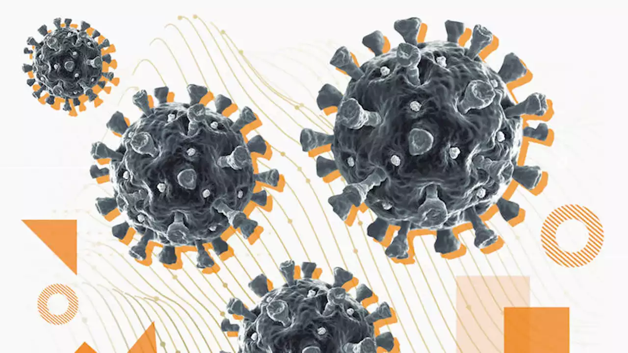 Mapa del coronavirus en España y datos de su evolución