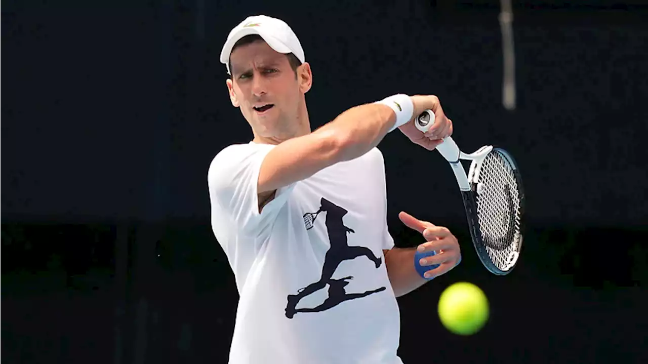 Novak Djokovic accepts 'administrative mistake' on travel documents as visa decision delayed