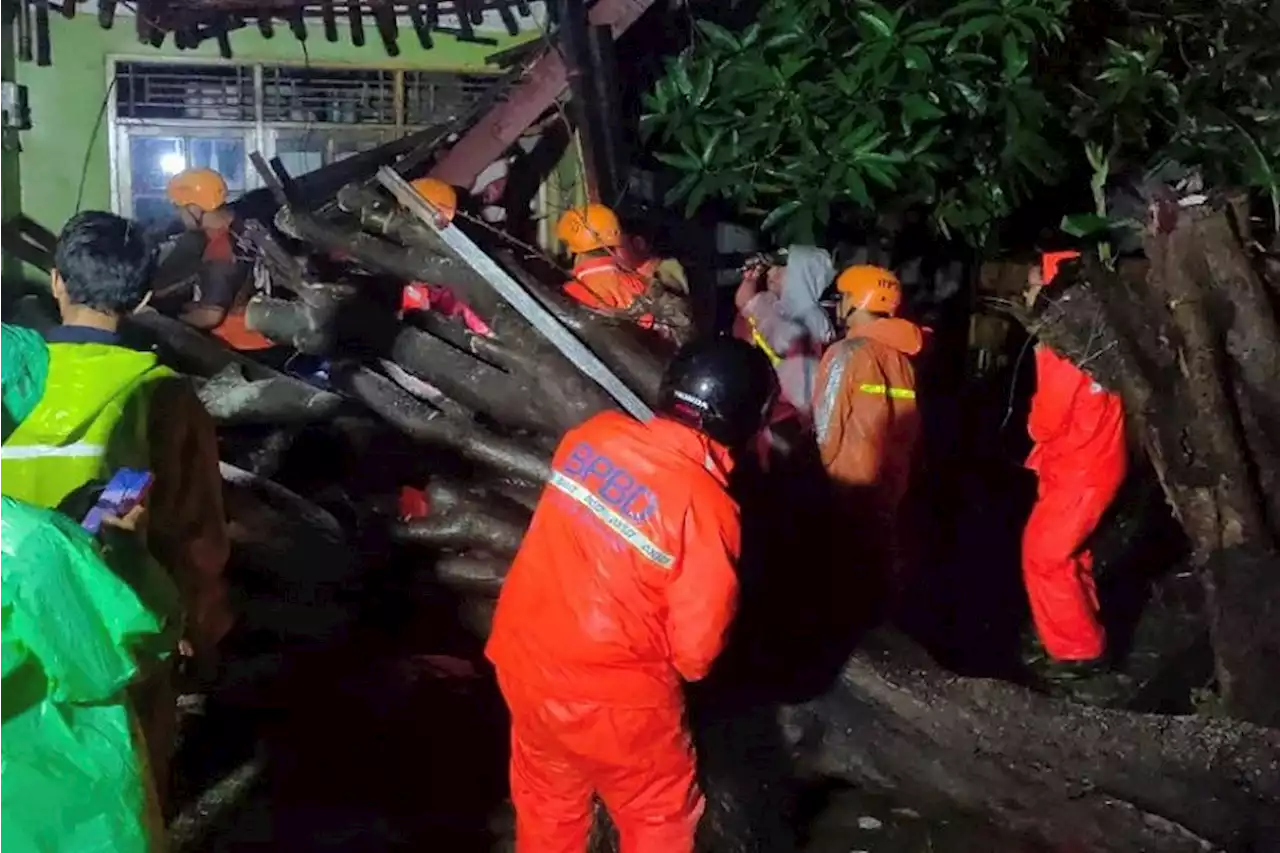 Pohon Besar Tumbang Timpa Rumah Warga di Bekasi