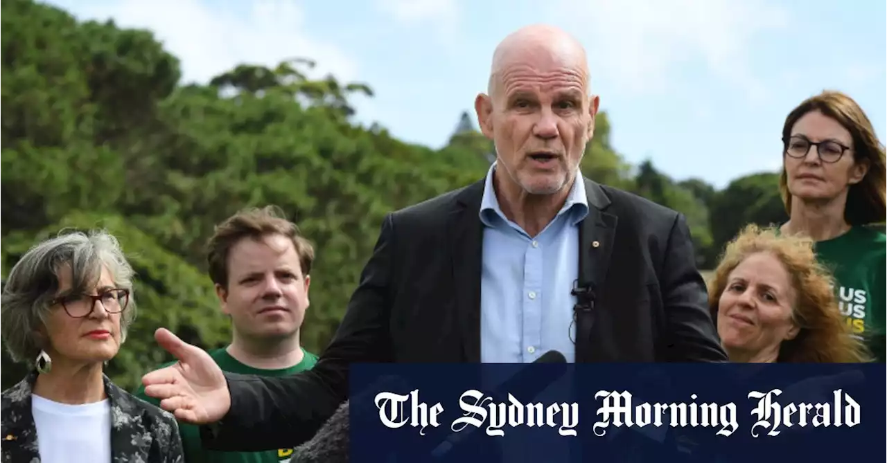 ‘People don’t want Trump or Shane Warne’: Hybrid model proposed for Australian republic