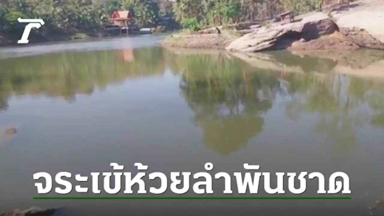 ผวา 'ไอ้เข้' ตัวเขื่องโผล่ลำพันชาด พระโยงตำนาน 'บักเฮ้า เฝ้าวังสามหมอ'