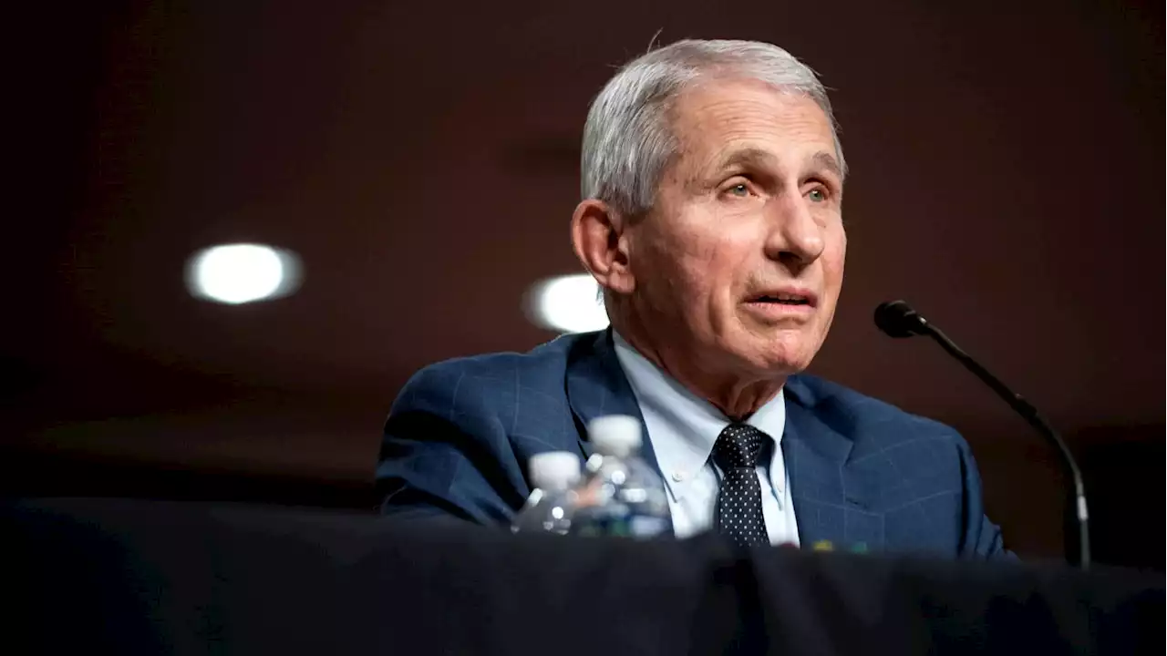 Fauci Heard Muttering ‘What a Moron’ After Fiery Exchange With Kansas Senator