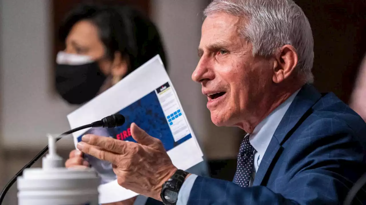 Fauci Accuses Rand Paul of Exploiting the Pandemic to Fundraise