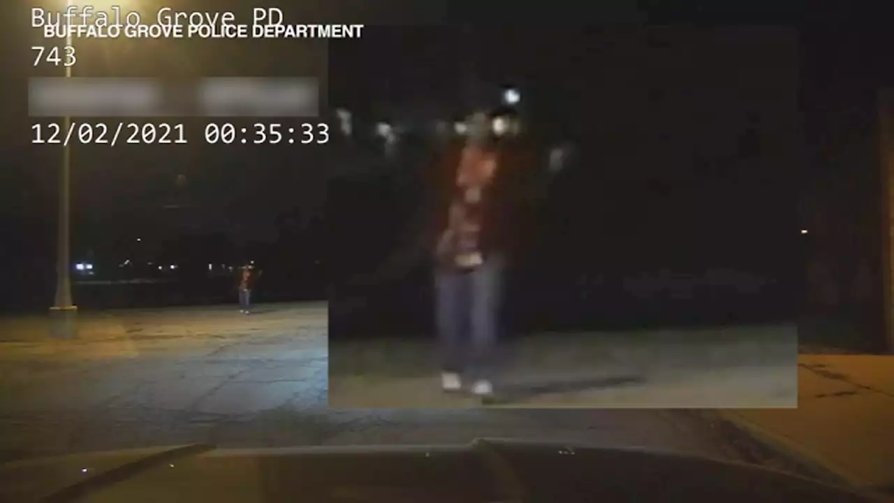 Buffalo Grove police shooting video released; man, 25, from Elgin killed