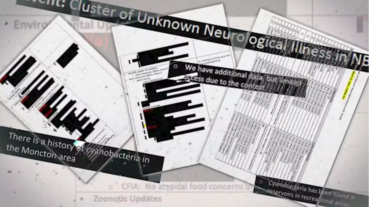 No longer a sure thing: Records show how N.B. investigation into mystery illness changed over time | CBC News