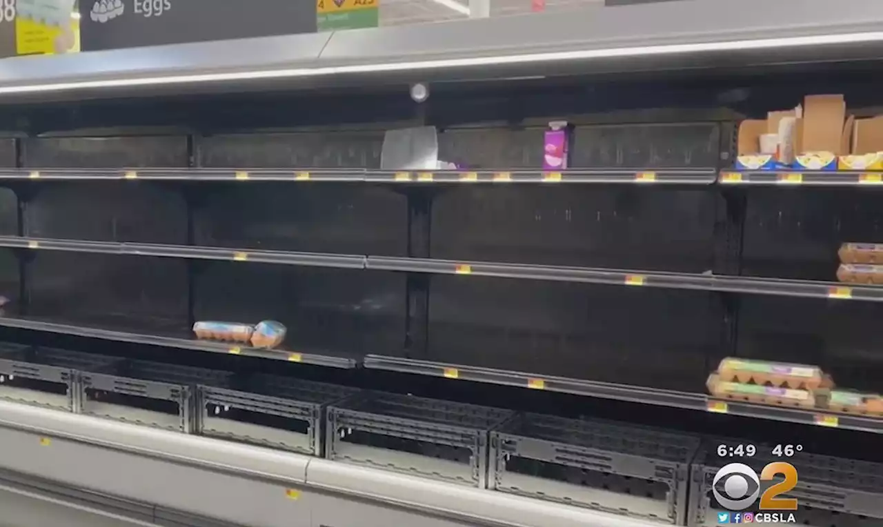 Not Again: Shoppers Looking For Milk, Bread And Other Grocery Staples Finding Empty Store Shelves