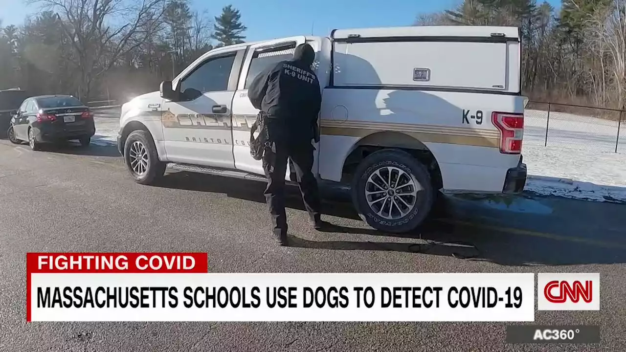 Massachusetts school using dogs to sniff out Covid-19 - CNN Video