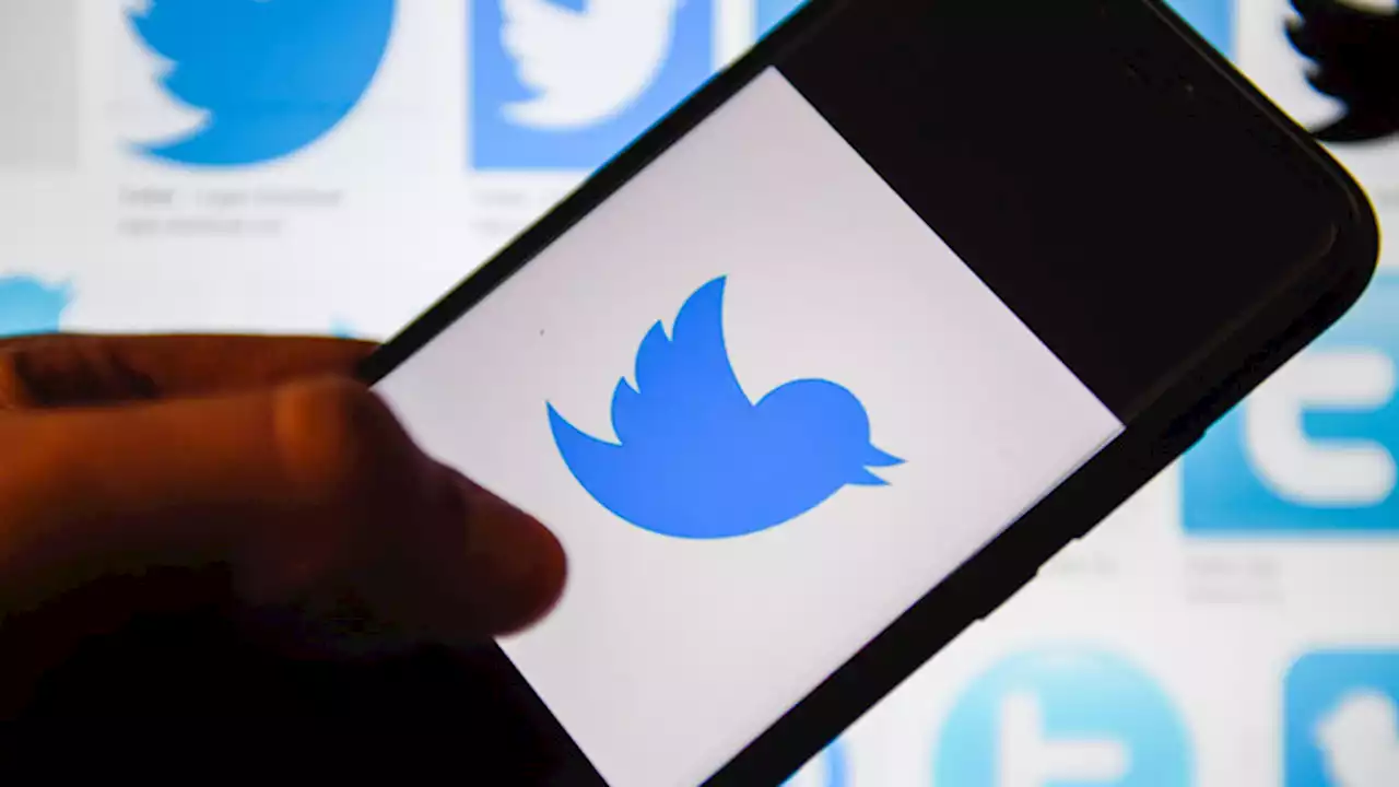 Nigeria - Twitter-Sperre soll nach sieben Monaten aufgehoben werden