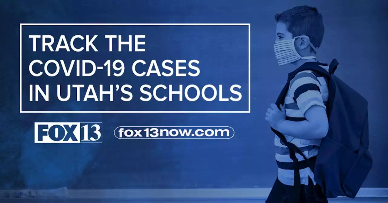 Find the COVID-19 cases at your child's school