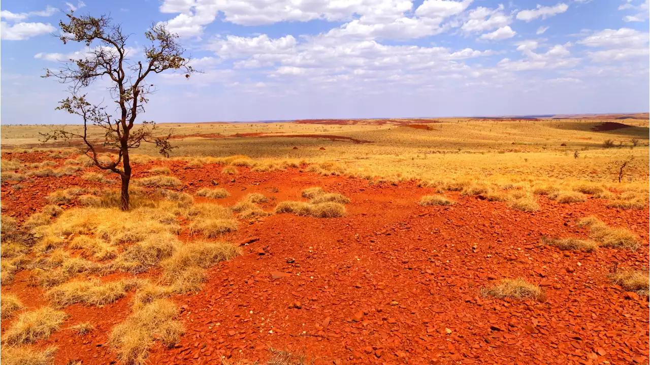 Australia records joint hottest day on record at over 50C | ITV News