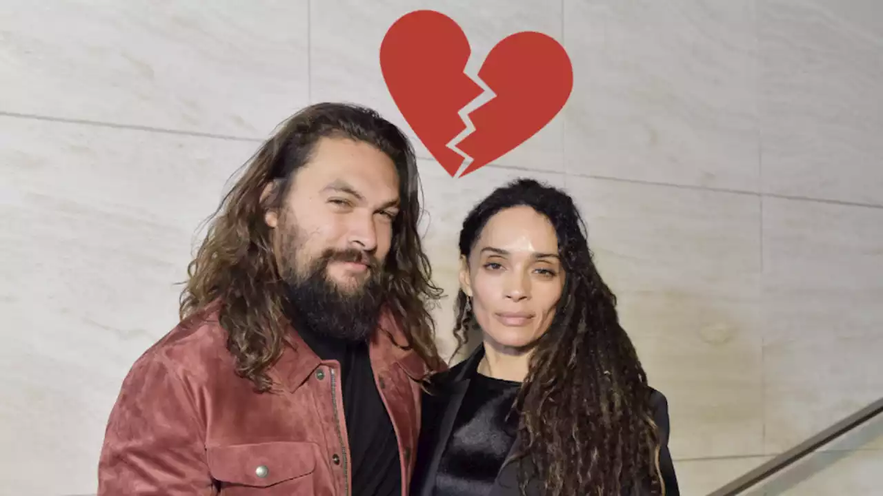 Jason Momoa, Lisa Bonet Have Split Up and I'd Like to Date Either of Them