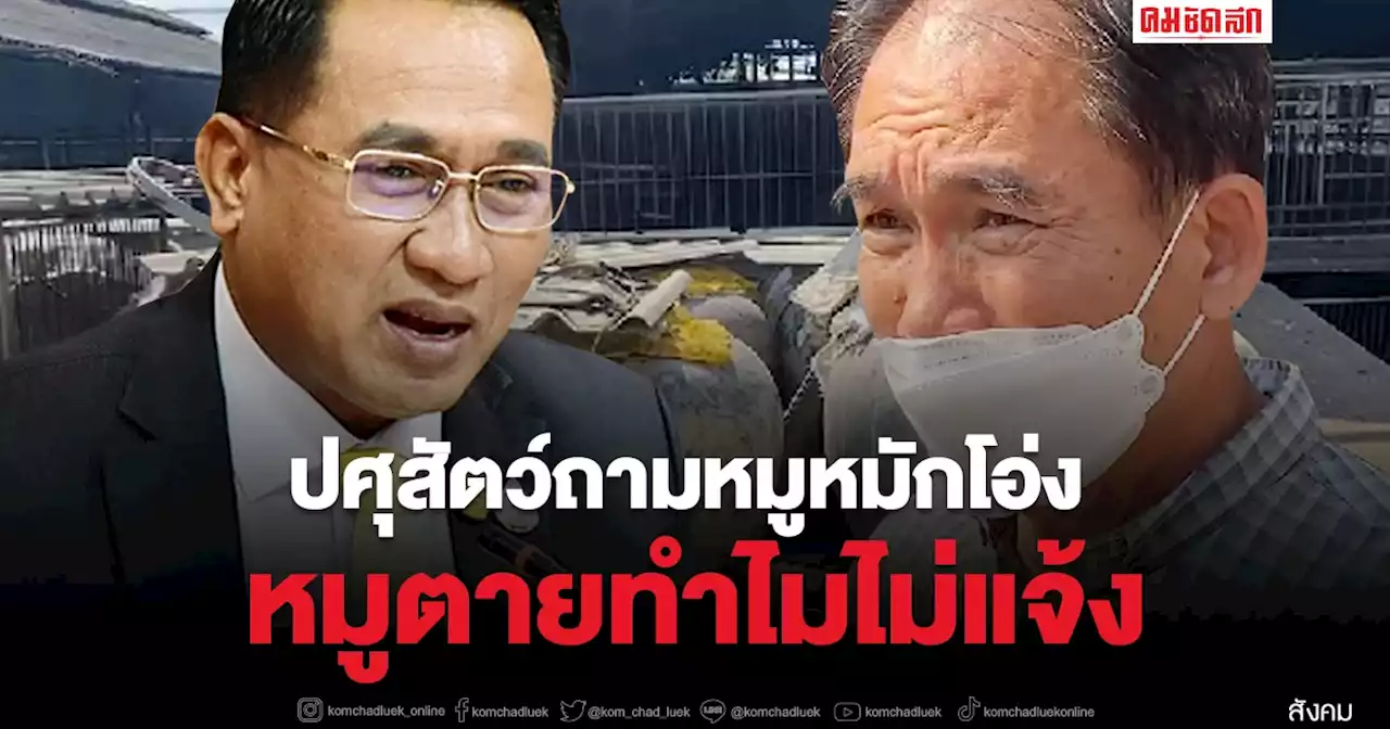 อธิบดีกรมปศุสัตว์ติง หมูตายยัดโอ่งน้ำ ตอนเกิดเรื่องทำไมไม่แจ้ง (มีคลิป)