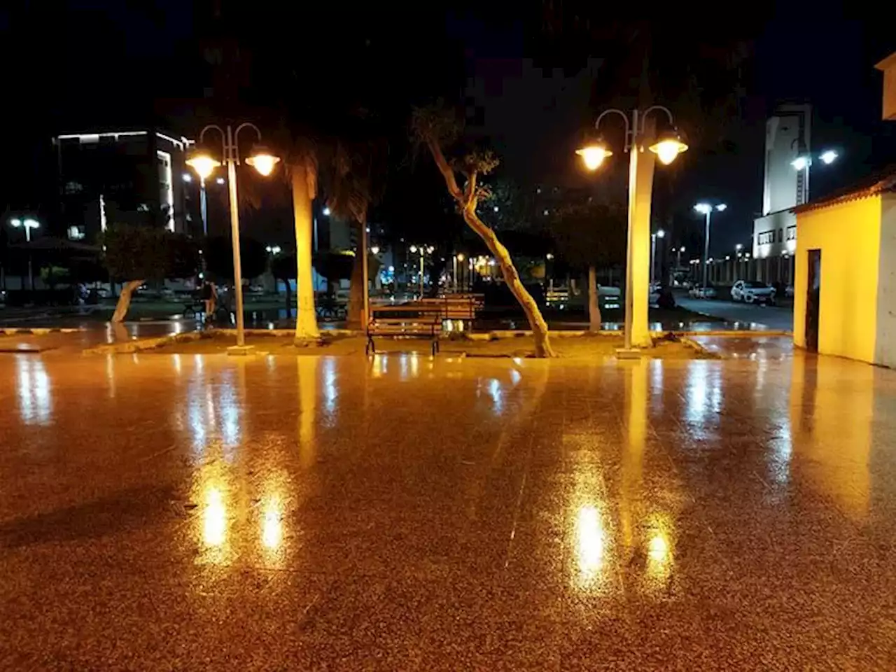صور.. سقوط أمطار وانخفاض درجات الحرارة في بورسعيد