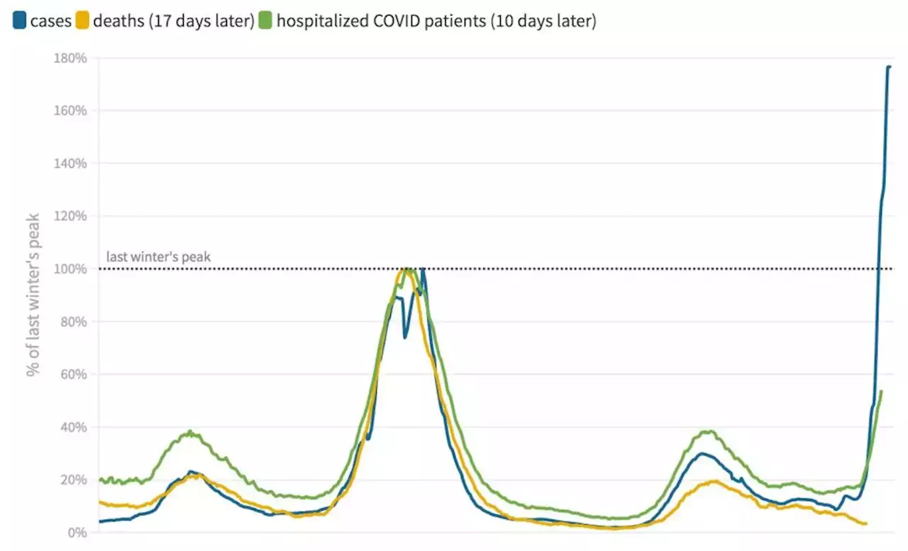 COVID: Five charts that show how curve-bendingly different omicron is