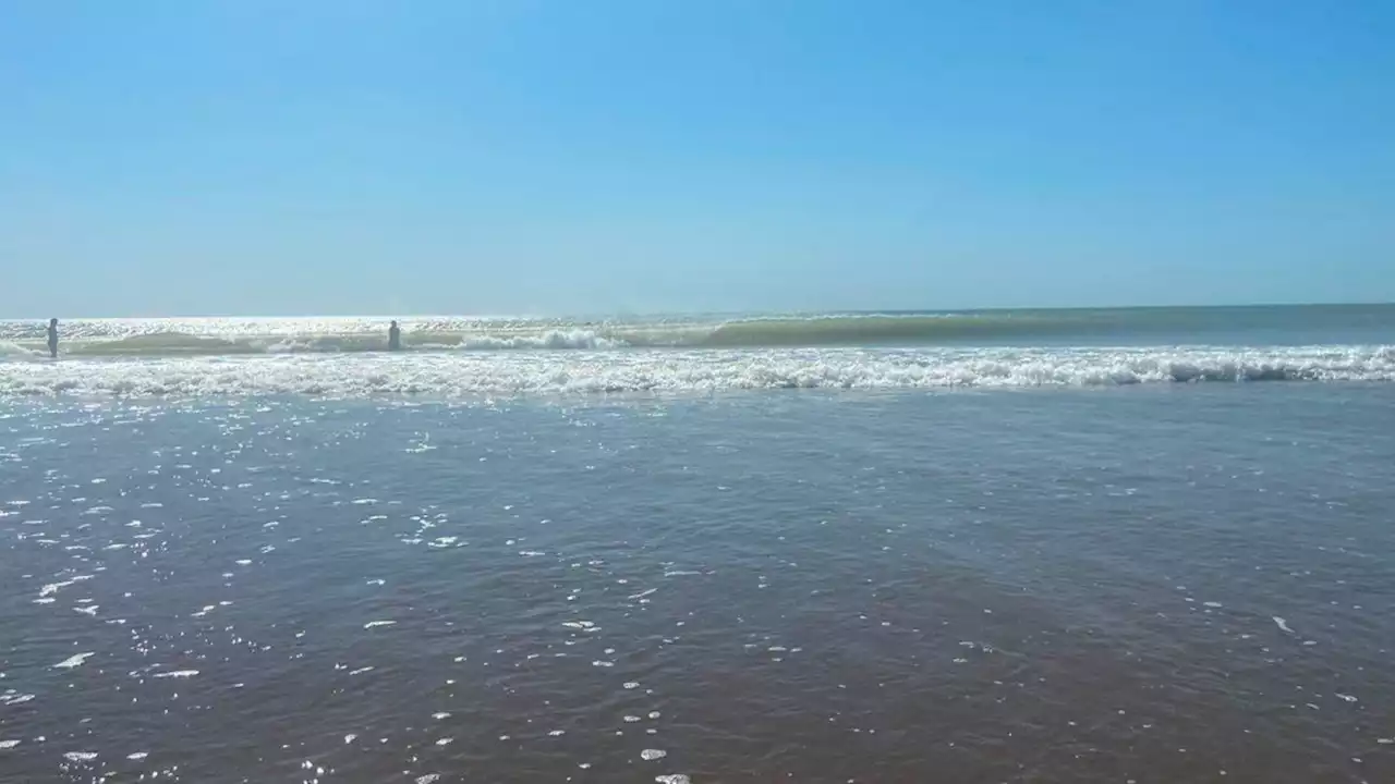 Volvió a subir la temperatura del agua en Mar del Plata: el mar está tibio