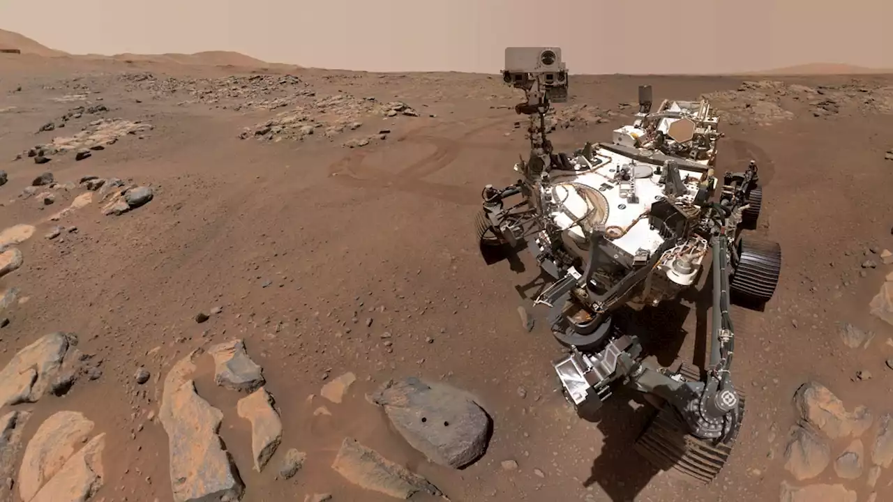 Mysterious purple coating found on Mars rocks