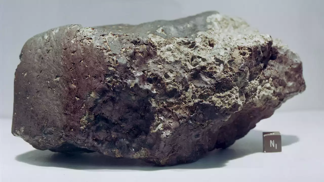 Organic molecules in an ancient Mars meteorite formed via geology, not alien life