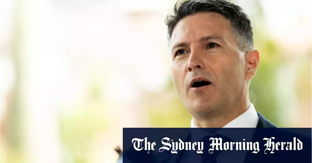 NSW records more than 80,000 new cases after RAT registrations open