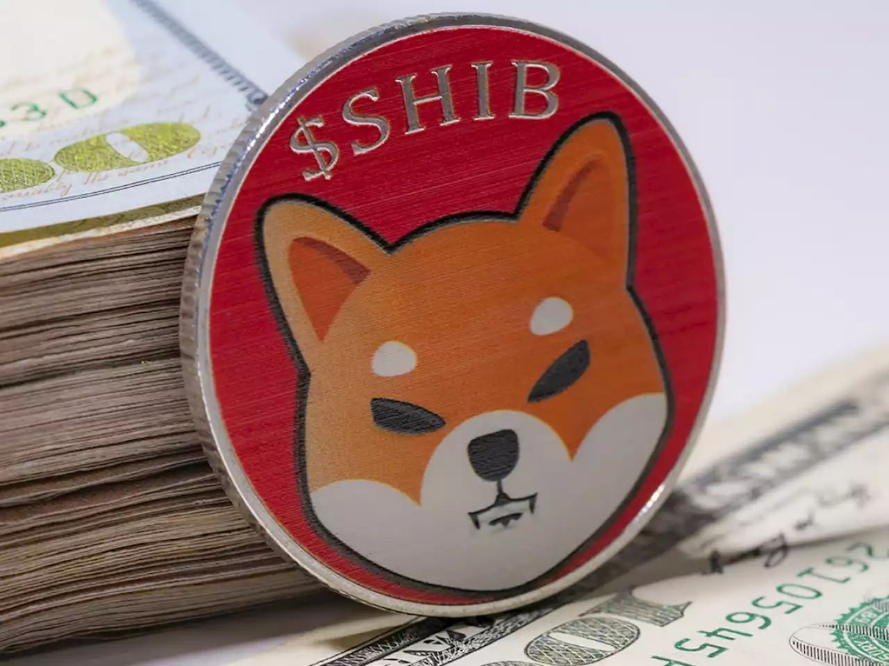 Shiba Inu Is Now Biggest USD Position in Whale Wallets: Details