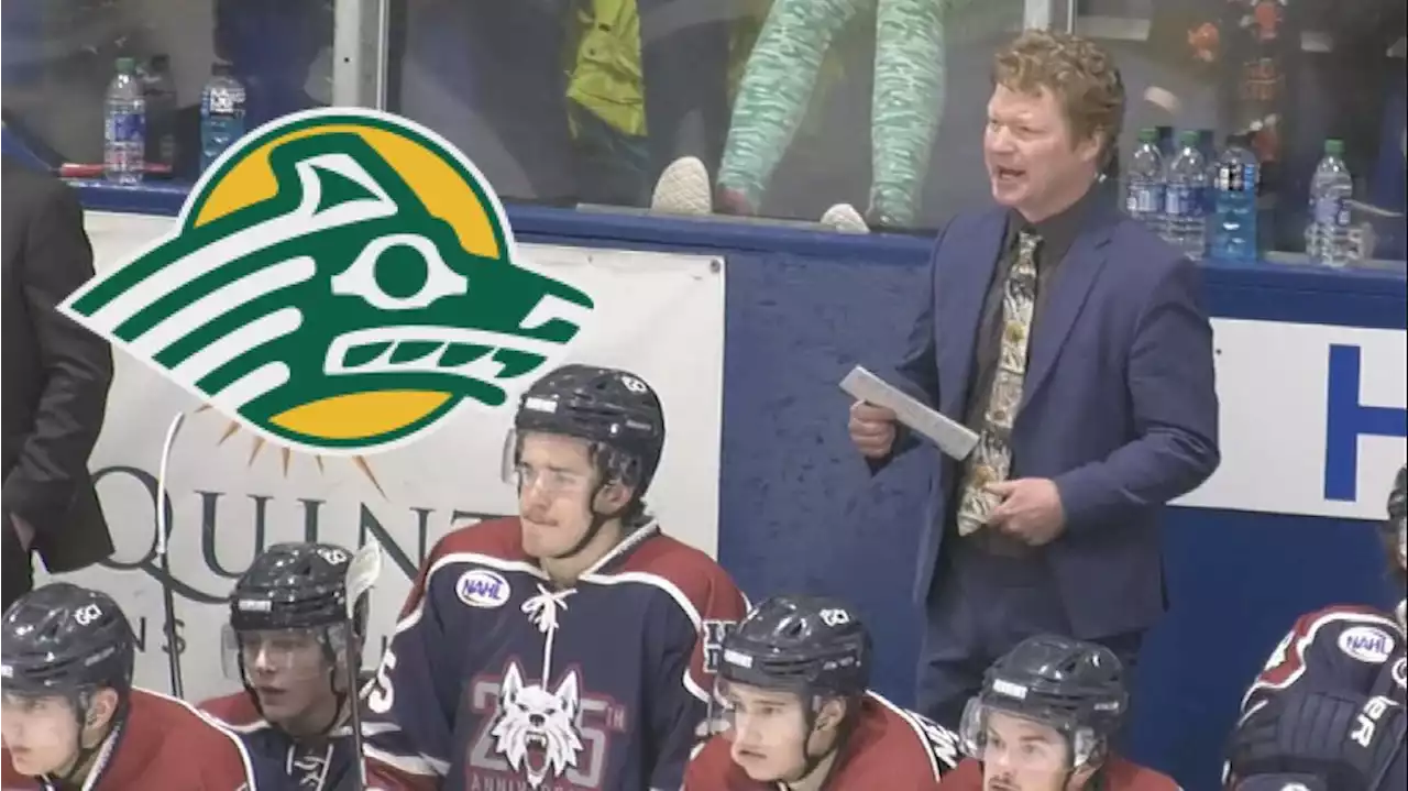 UAA hockey hires former Fairbanks Ice Dogs bench boss Trevor Stewart as associate head coach