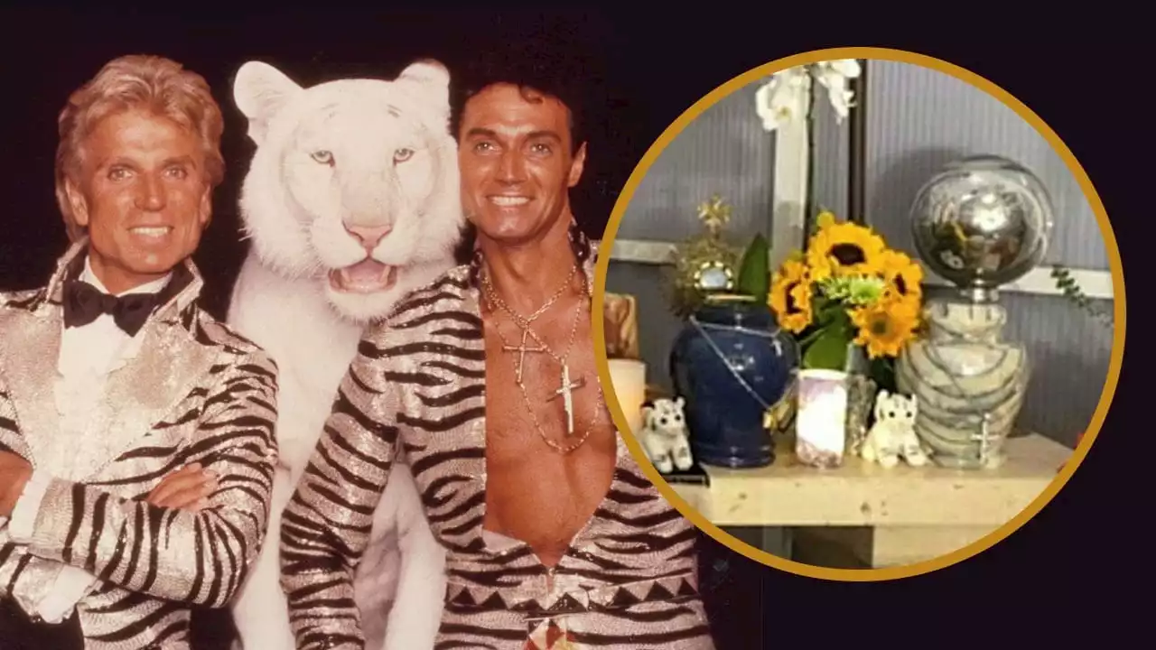 Siegfried und Roy: Warum vier Plüsch-Tiger ihre Urnen bewachen