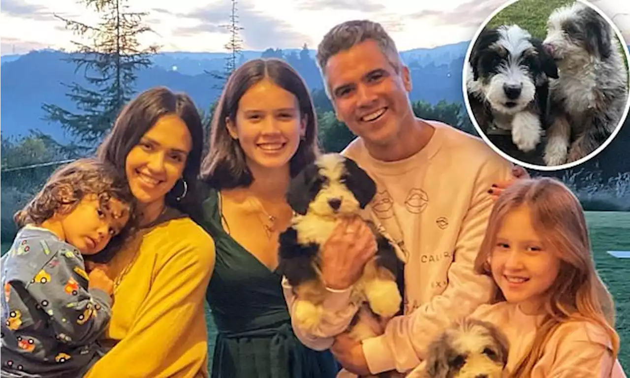 Jessica Alba shares cute family photos with new puppies Dolly and Lucy