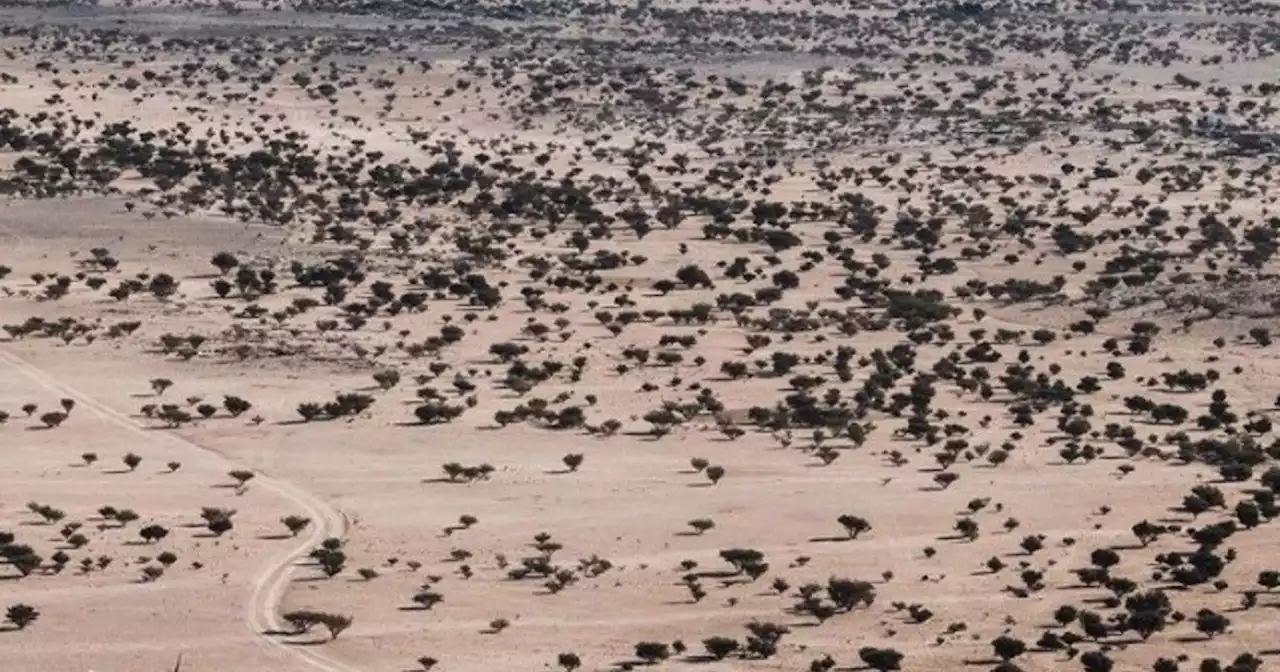 Un accidente mortal en el cierre del Dakar