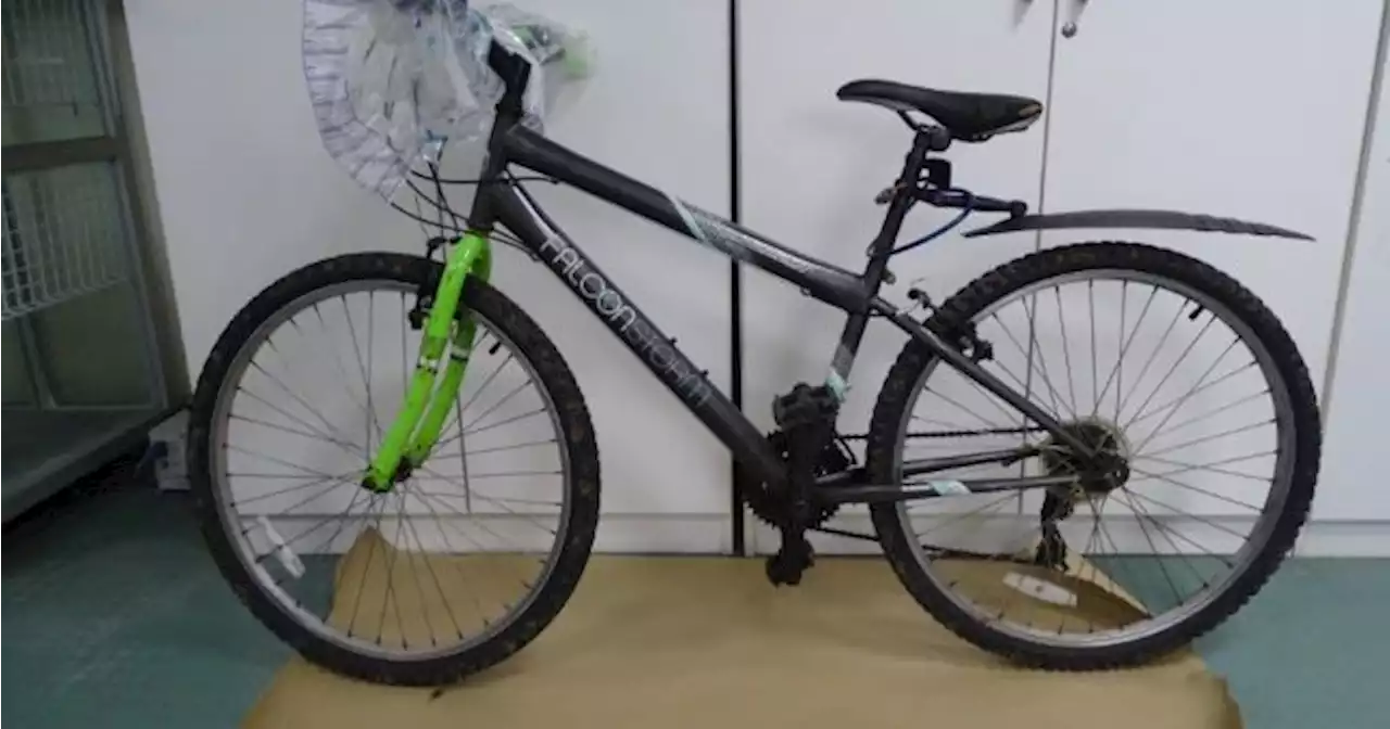 Gardaí appealing for information surrounding bike connected with murder of Ashling Murphy | JOE.ie