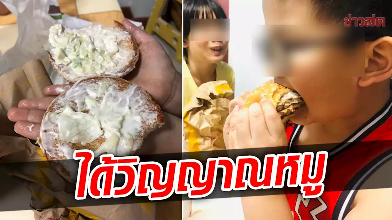 ดันมาเป็นช่วงหมูแพง! หนูน้อยเศร้า สั่งเบอร์เกอร์ได้วิญญาณหมู ร้านดังขอโทษ ให้ใหม่แบบจุกๆ - ข่าวสด