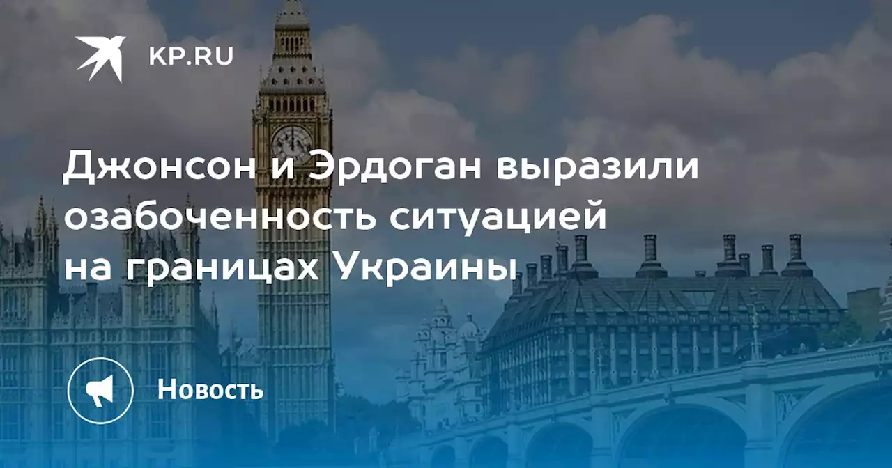 Джонсон и Эрдоган выразили озабоченность ситуацией на границах Украины