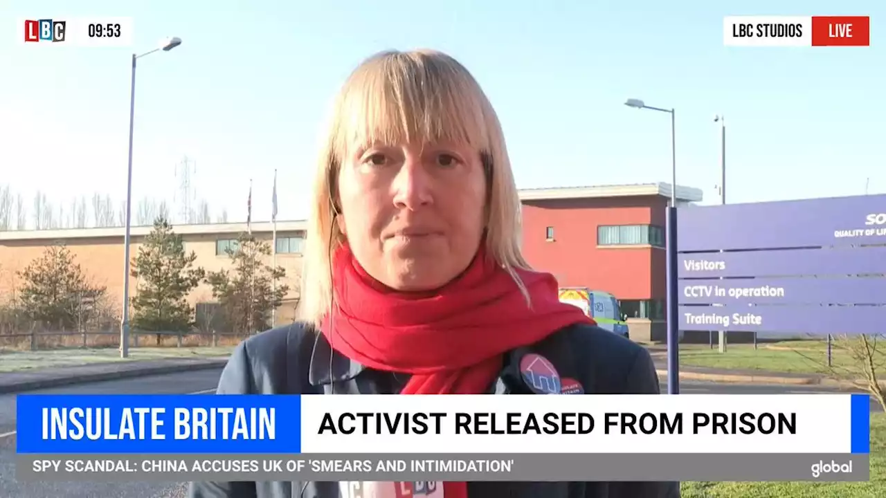 'I will do whatever it takes': Freed eco activist vows to carry on protests after leaving jail