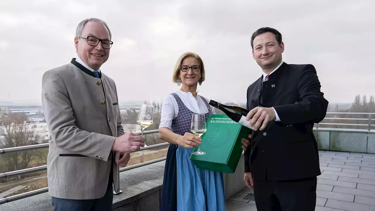 Zweiter NÖ Bauernbundball 'Daheim'