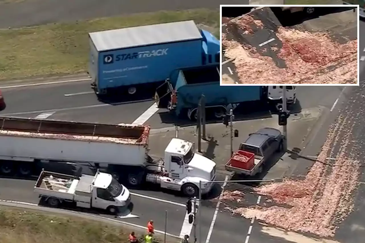 Massive ‘meat spill’ causes animal ‘entrails’ traffic jam