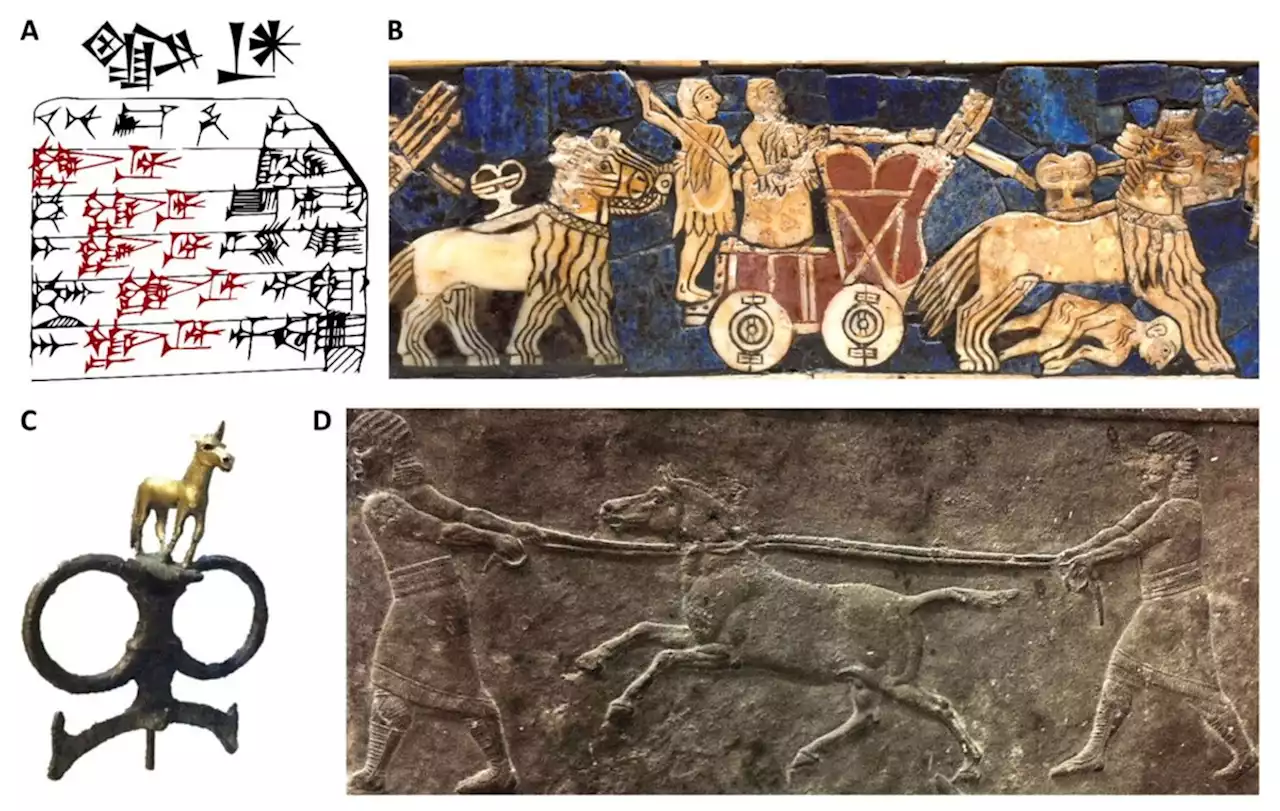 The genetic identity of the earliest human-made hybrid animals, the kungas of Syro-Mesopotamia