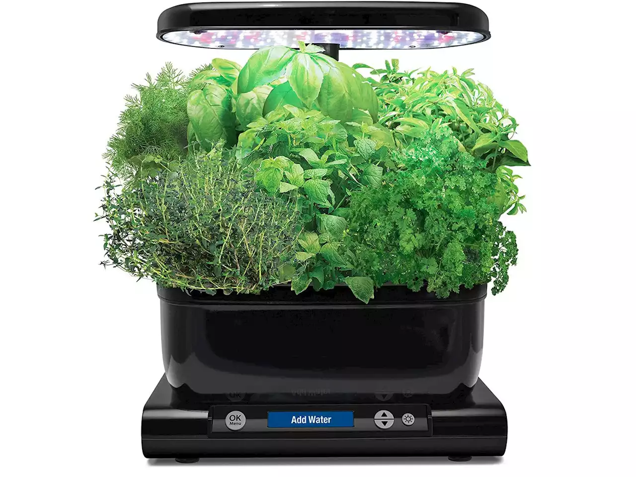 Who’s Laughing Now?: Why I Love the AeroGarden