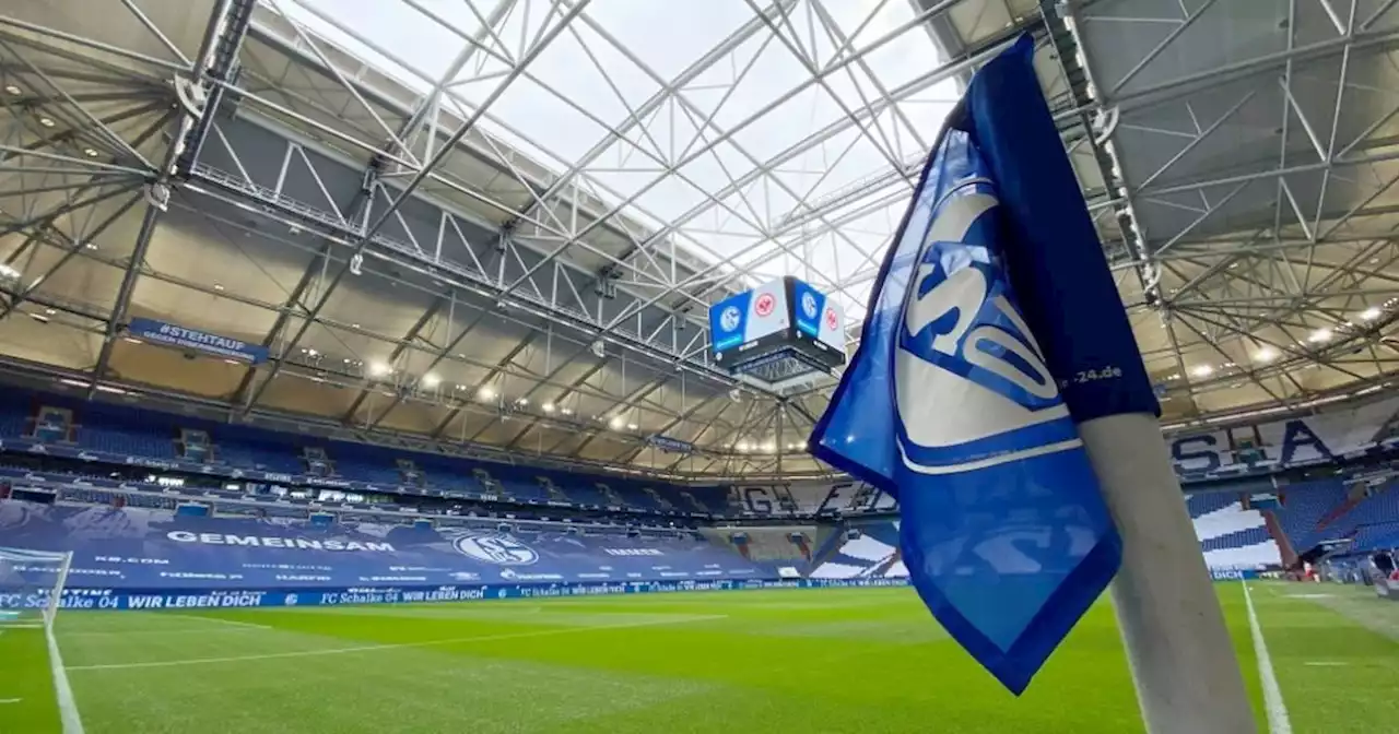 Lode nächste Verstärkung für Schalke