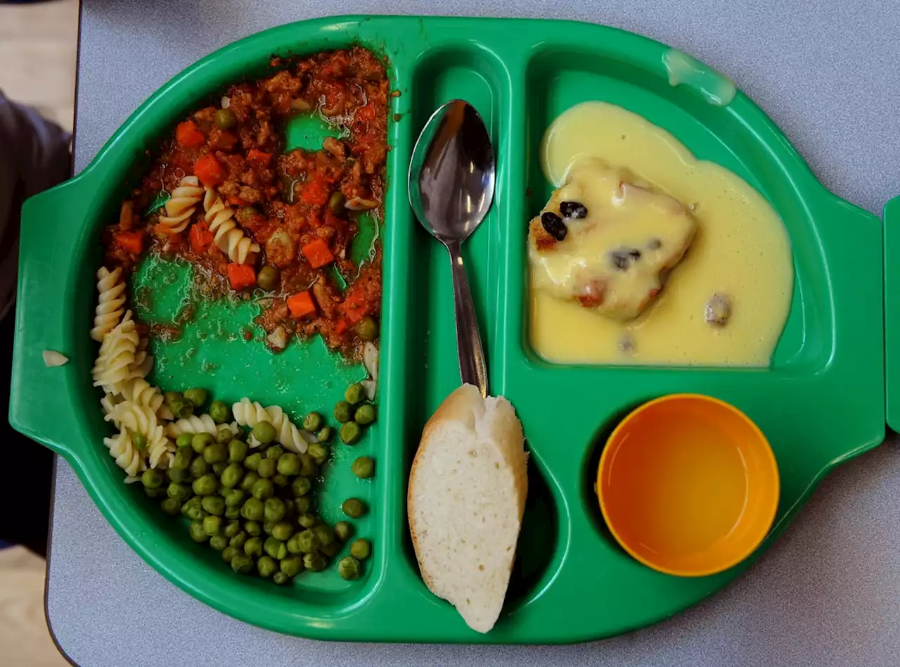 London primary bans school dinner puddings because they make pupils ‘irritable’