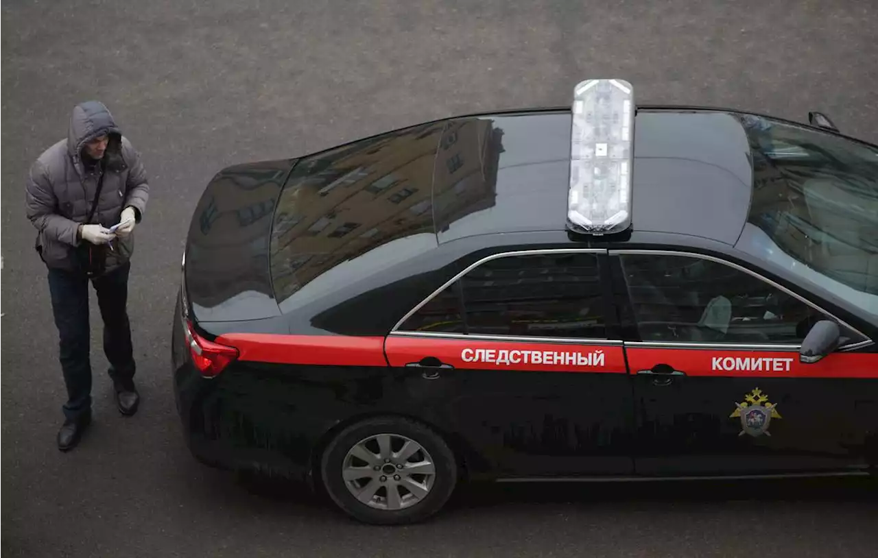 СК возбудил дело в связи с гибелью ребенка после нападения собак в Тверской области