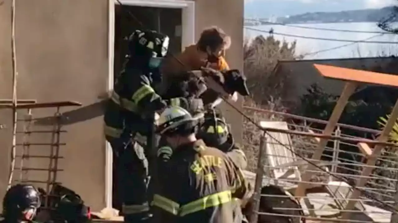 ‘My Baby!’: Video Shows Dog Rescued Six Days After She Was Trapped by Seattle Landslide