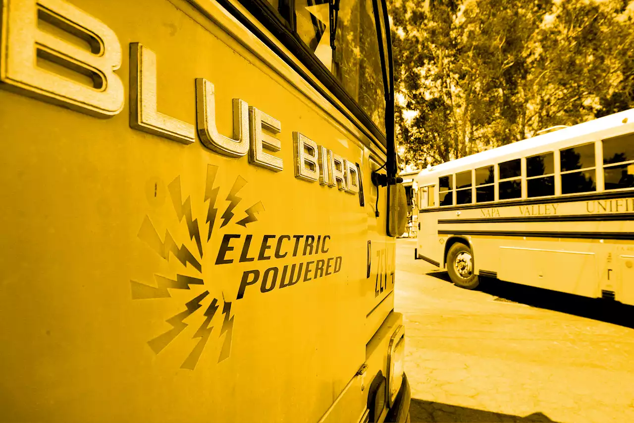 The Ubiquitous Yellow School Bus Can Be Turned Into a Force for Climate Change Good