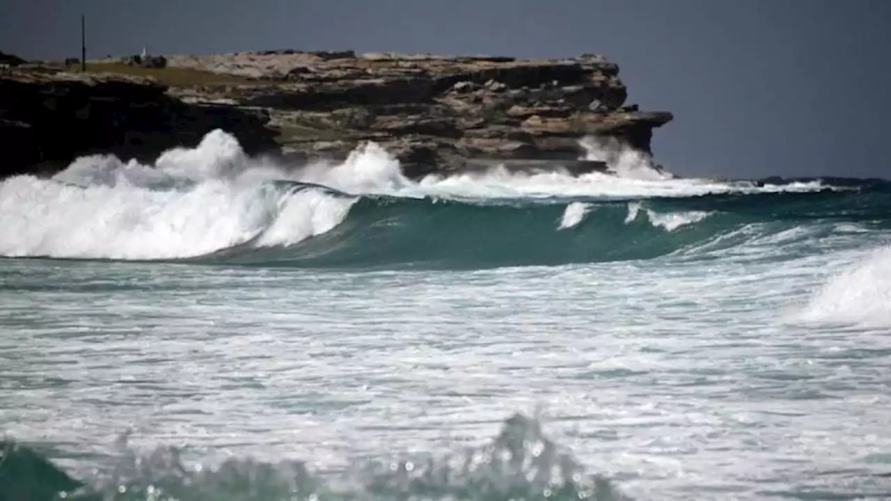 Tsunami reaches Japan, 3-meter waves possible