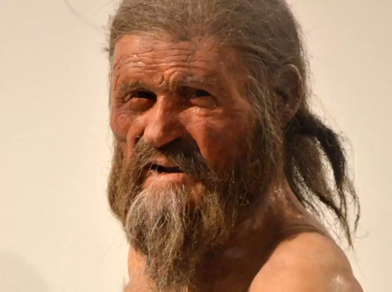 Tollund Man, Otzi the Iceman: What Their Last Meals Reveal