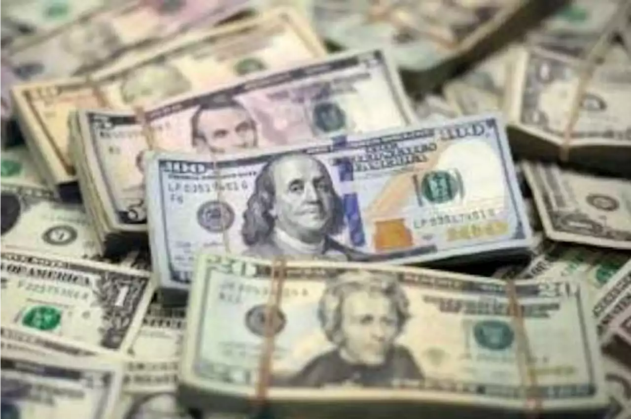 پہلی ششماہی: ترسیلات زر میں 11.3 فیصد اضافہ ریکارڈ