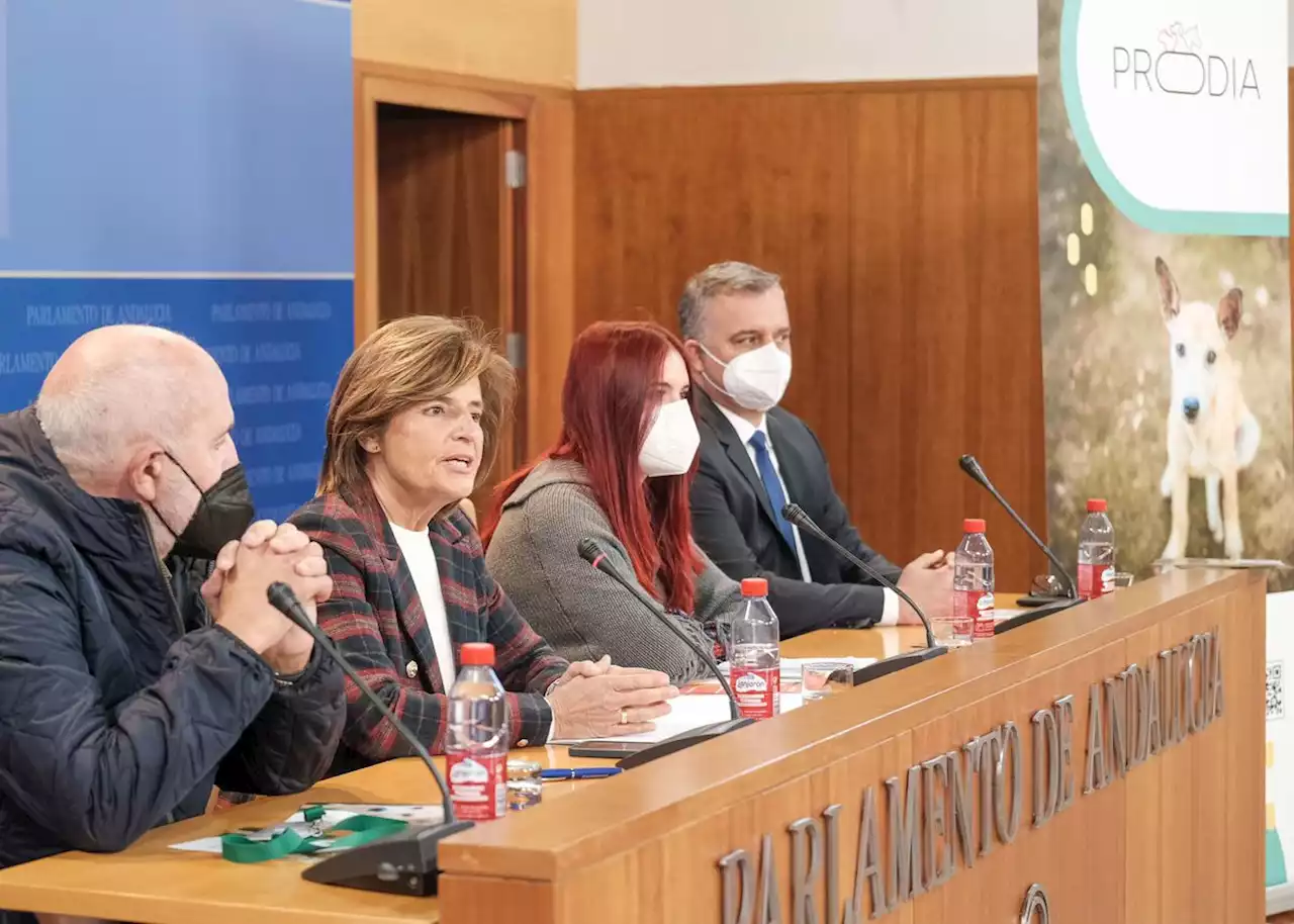 Diputados andaluces de diferentes partidos se unen en defensa de la dignidad animal